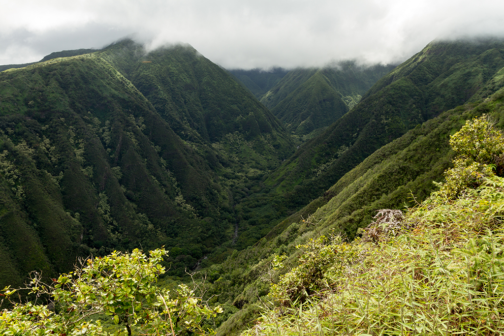 Maui - 032.jpg - Waihee Ridge Trail